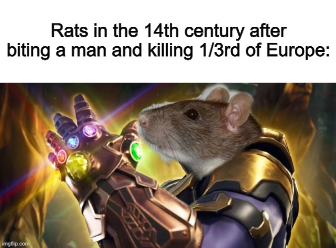 That must've been shocking for the rat... | Rats in the 14th century after biting a man and killing 1/3rd of Europe: | made w/ Imgflip meme maker