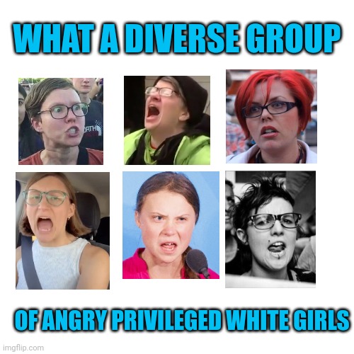 WHAT A DIVERSE GROUP; OF ANGRY PRIVILEGED WHITE GIRLS | made w/ Imgflip meme maker