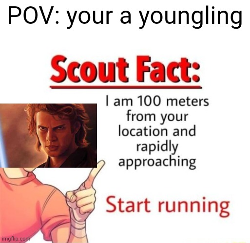 Scout Fact | POV: your a youngling | image tagged in scout fact,anakin skywalker,anakin | made w/ Imgflip meme maker