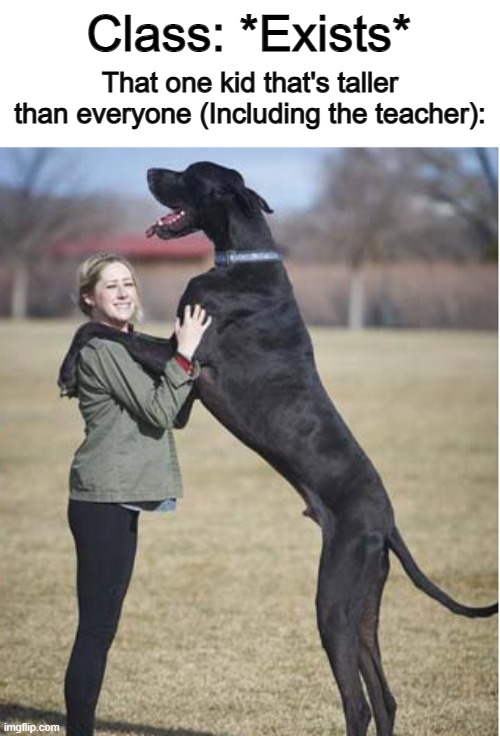 There's always that one kid thats very tall... | Class: *Exists*; That one kid that's taller than everyone (Including the teacher): | made w/ Imgflip meme maker