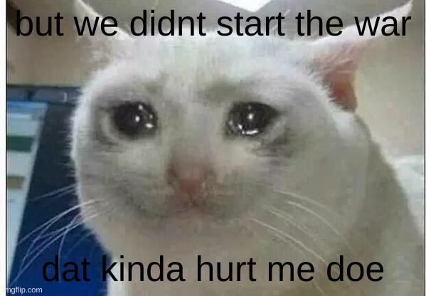 crying cat | but we didnt start the war dat kinda hurt me doe | image tagged in crying cat | made w/ Imgflip meme maker