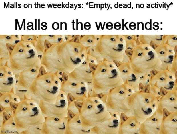 Well... I mean- obviously, of course... | Malls on the weekdays: *Empty, dead, no activity*; Malls on the weekends: | image tagged in memes,multi doge | made w/ Imgflip meme maker