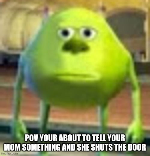 Why | POV YOUR ABOUT TO TELL YOUR MOM SOMETHING AND SHE SHUTS THE DOOR | image tagged in sully wazowski | made w/ Imgflip meme maker