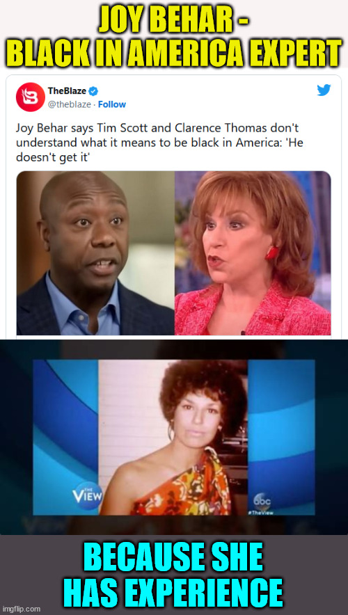Joy Behar - Black in America Expert | JOY BEHAR - BLACK IN AMERICA EXPERT; BECAUSE SHE HAS EXPERIENCE | image tagged in joy behar,racist | made w/ Imgflip meme maker