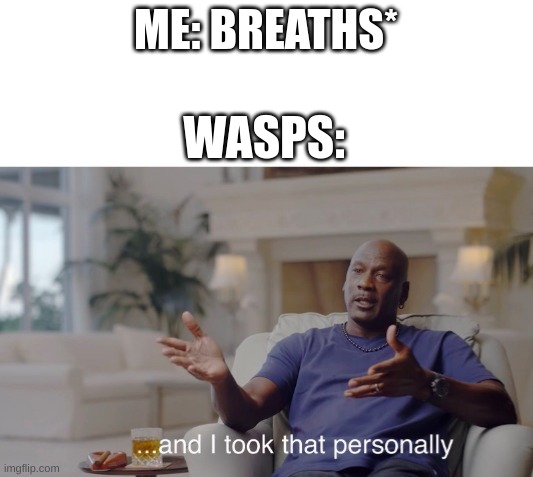 ...and I took that personally | ME: BREATHS*; WASPS: | image tagged in and i took that personally | made w/ Imgflip meme maker