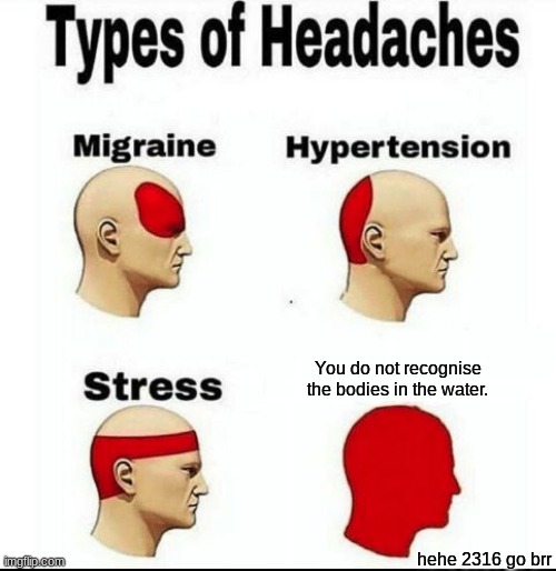 Types of Headaches meme | You do not recognise the bodies in the water. hehe 2316 go brr | image tagged in types of headaches meme | made w/ Imgflip meme maker