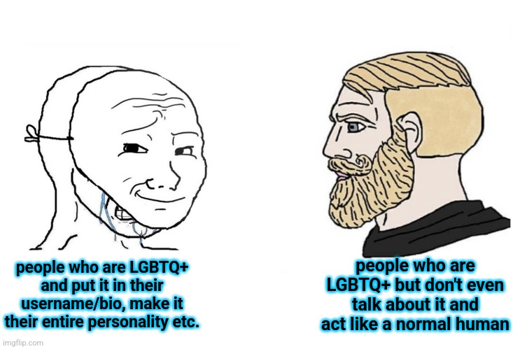 I've heard an underage LGBTQ user unironically say "male and female are invalid genders made up by homophobics" | people who are LGBTQ+ and put it in their username/bio, make it their entire personality etc. people who are LGBTQ+ but don't even talk about it and act like a normal human | image tagged in masked wojak vs chad | made w/ Imgflip meme maker