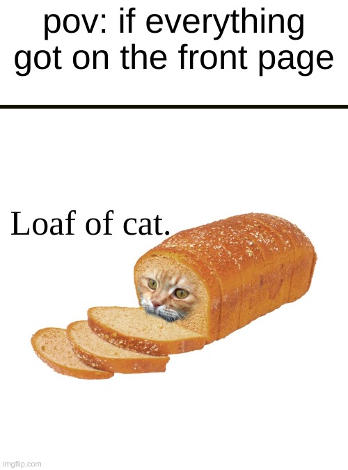 if only | pov: if everything got on the front page; Loaf of cat. | image tagged in loafofcat,catloaf | made w/ Imgflip meme maker