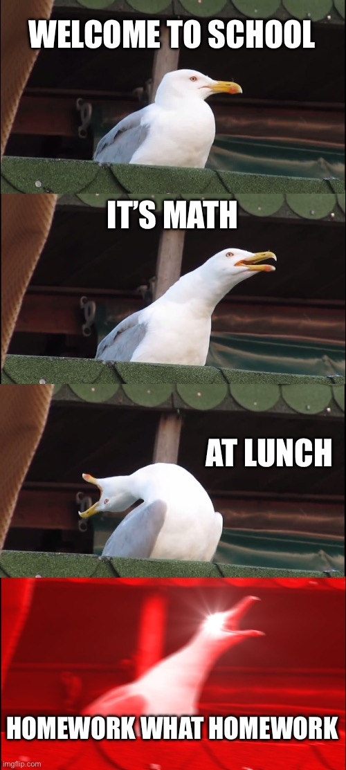 WHAT HOMEWORK?!?!? | WELCOME TO SCHOOL; IT’S MATH; AT LUNCH; HOMEWORK WHAT HOMEWORK | image tagged in memes,inhaling seagull | made w/ Imgflip meme maker