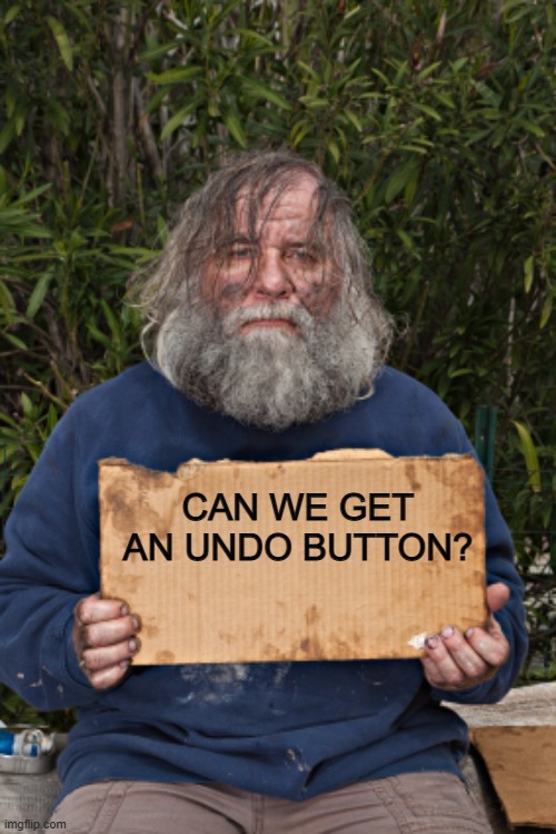 That would be SO useful :D | CAN WE GET AN UNDO BUTTON? | image tagged in blak homeless sign | made w/ Imgflip meme maker