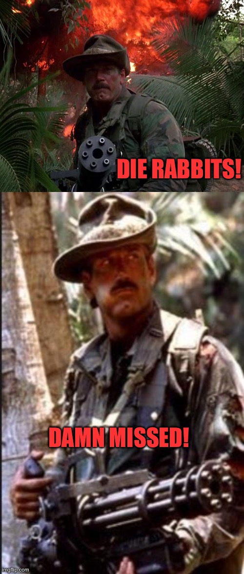 DIE RABBITS! DAMN MISSED! | image tagged in jesse ventura predator | made w/ Imgflip meme maker