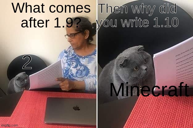 Woman showing paper to cat | What comes after 1.9? Then why did you write 1.10; Minecraft; 2 | image tagged in woman showing paper to cat,memes,minecraft | made w/ Imgflip meme maker