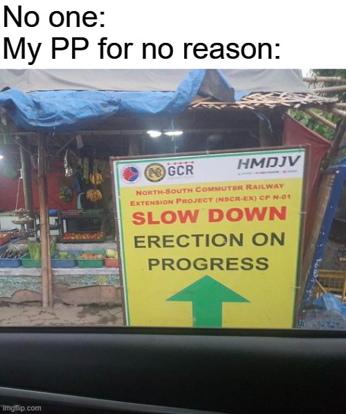 No one:
My PP for no reason: | image tagged in erection | made w/ Imgflip meme maker