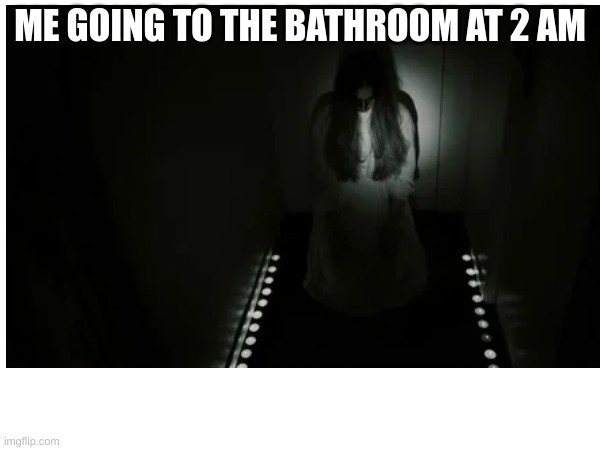 Scawy | ME GOING TO THE BATHROOM AT 2 AM | image tagged in relatable,bathroom | made w/ Imgflip meme maker
