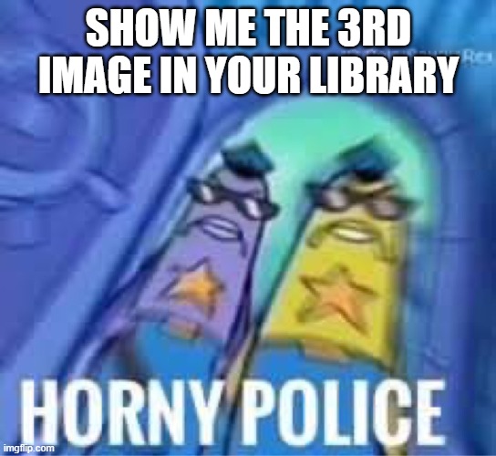 horny check | SHOW ME THE 3RD IMAGE IN YOUR LIBRARY | image tagged in horny police | made w/ Imgflip meme maker