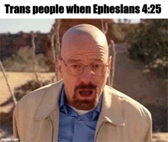 Walter White | Trans people when Ephesians 4:25 | image tagged in walter white | made w/ Imgflip meme maker