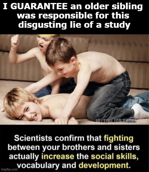 I GUARANTEE an older sibling 
was responsible for this 
disgusting lie of a study | image tagged in siblings,research | made w/ Imgflip meme maker