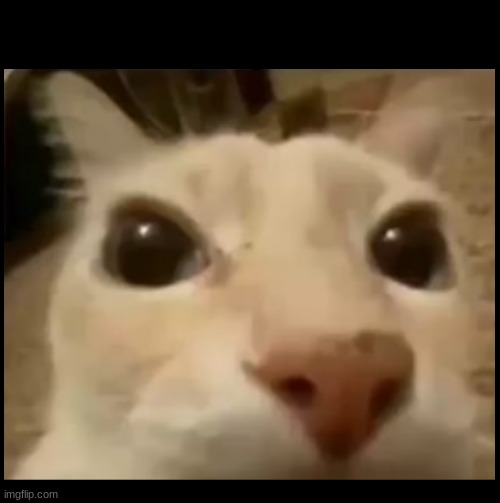 yes | *Burns the image and also; your balls* | made w/ Imgflip meme maker