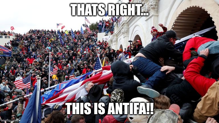 Capitol Terrorists | THATS RIGHT... THIS IS ANTIFA!! | image tagged in capitol terrorists | made w/ Imgflip meme maker