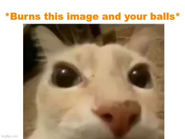 *Burns this image and your balls* | made w/ Imgflip meme maker