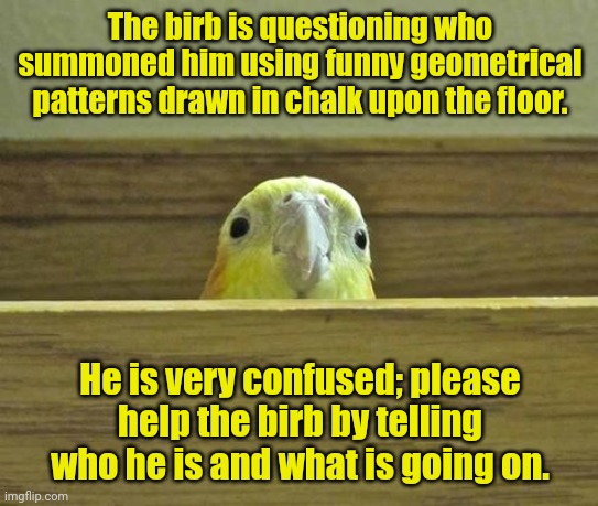 The Birb | The birb is questioning who summoned him using funny geometrical patterns drawn in chalk upon the floor. He is very confused; please help th | image tagged in the birb | made w/ Imgflip meme maker