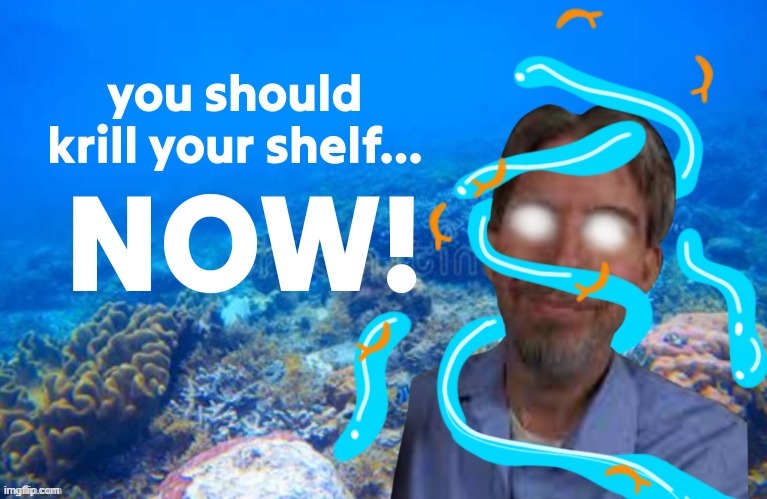 NOW!!! | image tagged in you should krill your shelf now | made w/ Imgflip meme maker