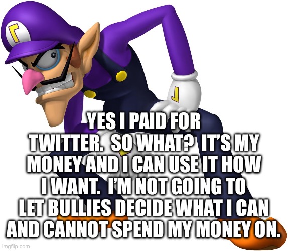 Waluigi | YES I PAID FOR TWITTER.  SO WHAT?  IT’S MY MONEY AND I CAN USE IT HOW
I WANT.  I’M NOT GOING TO LET BULLIES DECIDE WHAT I CAN
AND CANNOT SPE | image tagged in waluigi | made w/ Imgflip meme maker