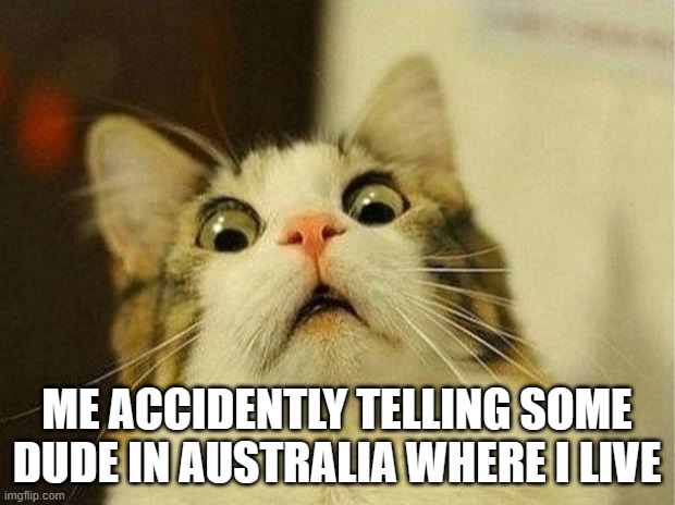 Scared Cat Meme | ME ACCIDENTLY TELLING SOME DUDE IN AUSTRALIA WHERE I LIVE | image tagged in memes,scared cat | made w/ Imgflip meme maker
