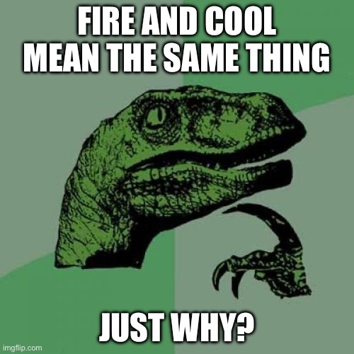 I don’t get it | FIRE AND COOL MEAN THE SAME THING; JUST WHY? | image tagged in memes,philosoraptor | made w/ Imgflip meme maker