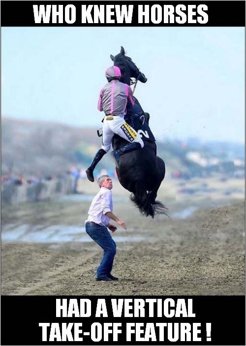 What A Surprise ! | WHO KNEW HORSES; HAD A VERTICAL TAKE-OFF FEATURE ! | image tagged in horses,surprise,vertical,take off | made w/ Imgflip meme maker