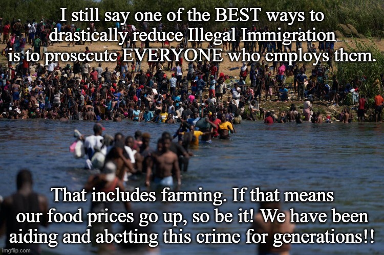 Illegal Immigration reduction | I still say one of the BEST ways to drastically reduce Illegal Immigration is to prosecute EVERYONE who employs them. That includes farming. If that means our food prices go up, so be it! We have been aiding and abetting this crime for generations!! | image tagged in illegals invading the border | made w/ Imgflip meme maker