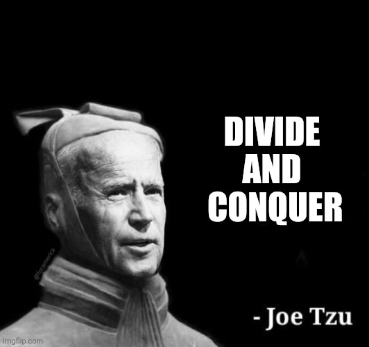 Joe Tzu box | DIVIDE AND  CONQUER | image tagged in joe tzu box | made w/ Imgflip meme maker