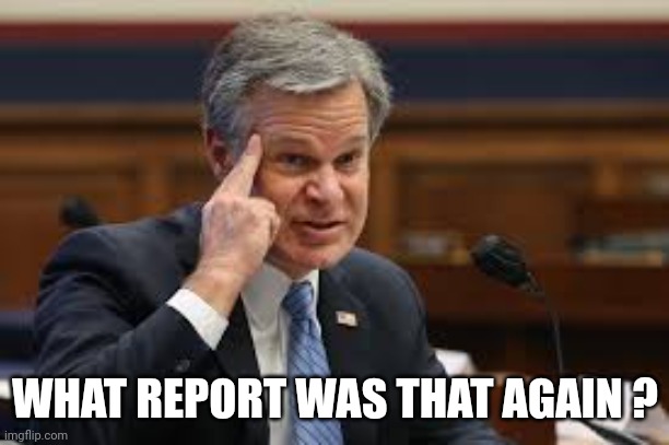 FBI. Roll Safe | WHAT REPORT WAS THAT AGAIN ? | image tagged in fbi roll safe | made w/ Imgflip meme maker