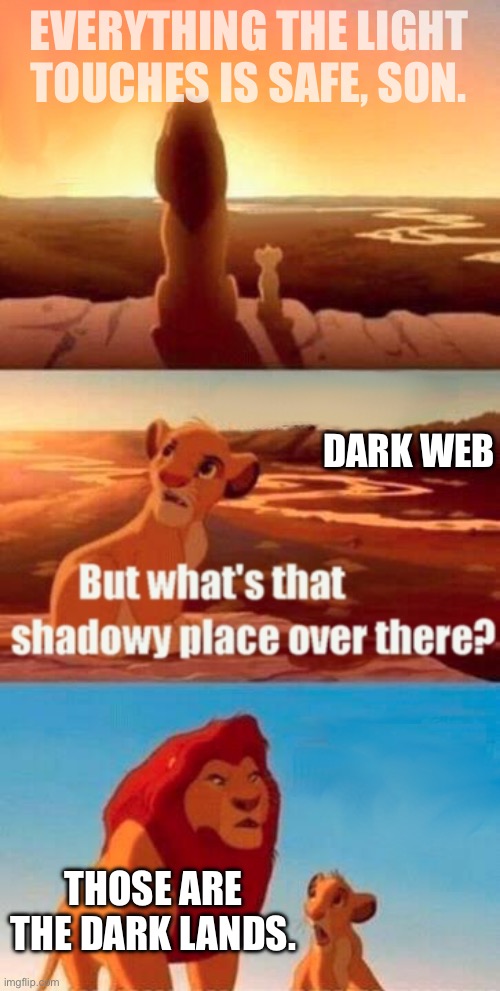 Simba Shadowy Place | EVERYTHING THE LIGHT TOUCHES IS SAFE, SON. DARK WEB; THOSE ARE THE DARK LANDS. | image tagged in memes,simba shadowy place | made w/ Imgflip meme maker