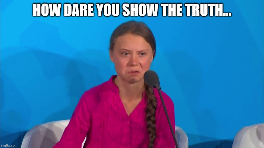 "How dare you?" - Greta Thunberg | HOW DARE YOU SHOW THE TRUTH... | image tagged in how dare you - greta thunberg | made w/ Imgflip meme maker