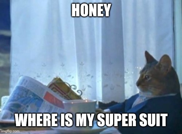 I had to do it, it was purrfect :3 | HONEY; WHERE IS MY SUPER SUIT | image tagged in memes,i should buy a boat cat | made w/ Imgflip meme maker