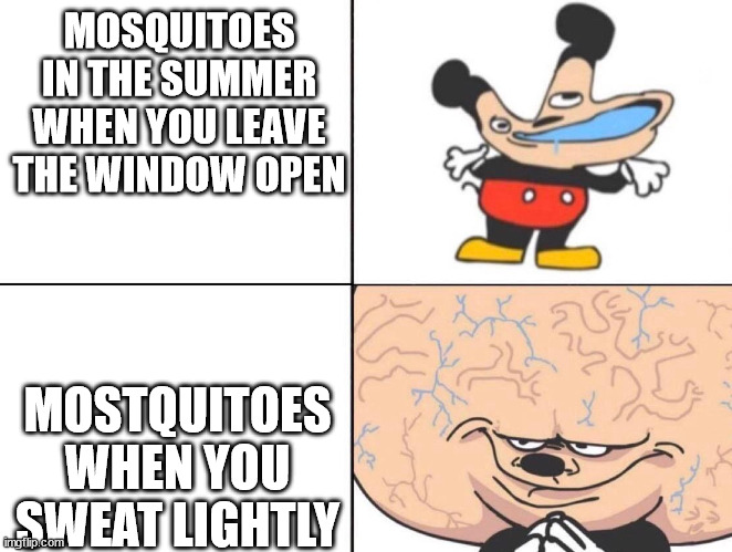 Big Brain Mickey | MOSQUITOES IN THE SUMMER WHEN YOU LEAVE THE WINDOW OPEN; MOSTQUITOES WHEN YOU SWEAT LIGHTLY | image tagged in big brain mickey | made w/ Imgflip meme maker