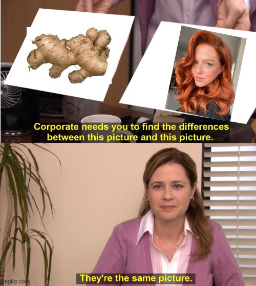 Gingers suck | image tagged in memes,they're the same picture | made w/ Imgflip meme maker