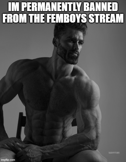 even though i am one, i dont like most of them | IM PERMANENTLY BANNED FROM THE FEMBOYS STREAM | image tagged in giga chad | made w/ Imgflip meme maker
