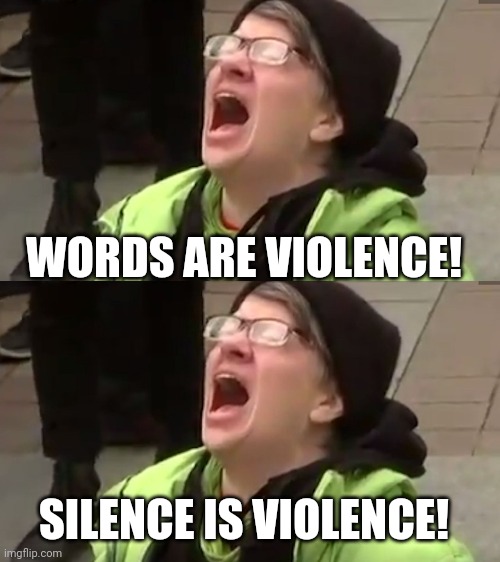 Wait, what? | WORDS ARE VIOLENCE! SILENCE IS VIOLENCE! | image tagged in triggered leftist | made w/ Imgflip meme maker