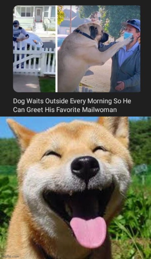 His favorite mailwoman | image tagged in happy doge,dogs,dog,mailwoman,memes,wholesome | made w/ Imgflip meme maker