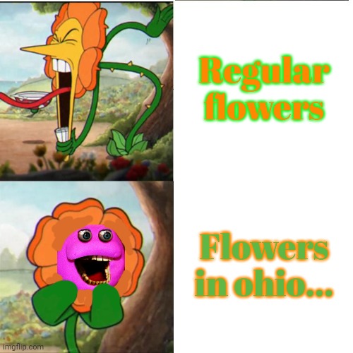 No this is not ok | Regular flowers; Flowers in ohio... | image tagged in cuphead flower,no,this is not okie dokie,only in ohio | made w/ Imgflip meme maker