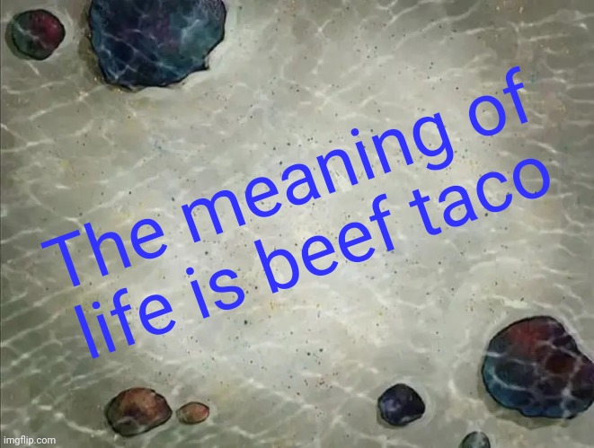 Beef taco is the meaning of life | The meaning of life is beef taco | image tagged in spongebob thing | made w/ Imgflip meme maker