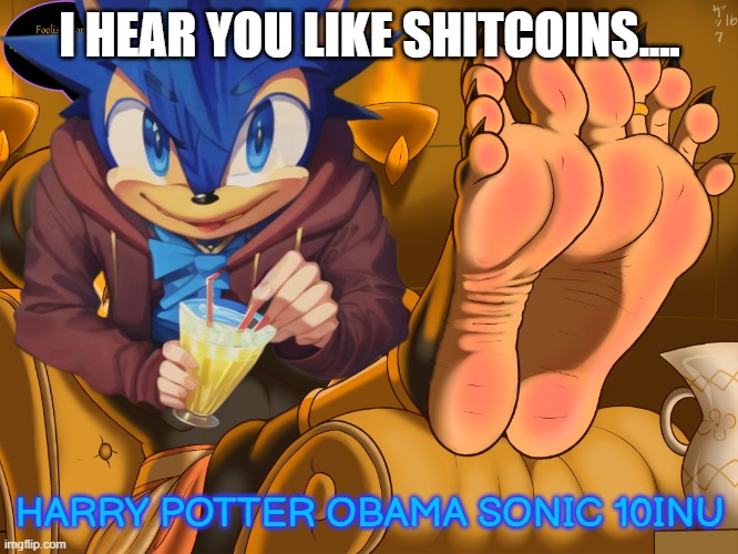 So I hear you like shitcoins... | I HEAR YOU LIKE SHITCOINS.... HARRY POTTER OBAMA SONIC 10INU | image tagged in memes,cryptocurrency,sonic | made w/ Imgflip meme maker