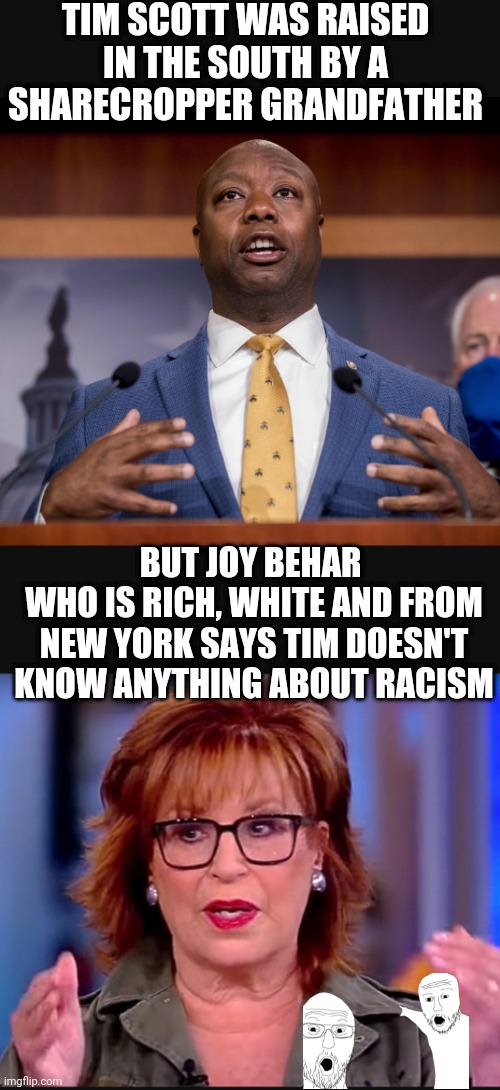 Liberal Leftist White-Splaining Joy | TIM SCOTT WAS RAISED IN THE SOUTH BY A SHARECROPPER GRANDFATHER; BUT JOY BEHAR 
WHO IS RICH, WHITE AND FROM NEW YORK SAYS TIM DOESN'T KNOW ANYTHING ABOUT RACISM | image tagged in leftists,joy,liberals,democrats,tim,racism | made w/ Imgflip meme maker