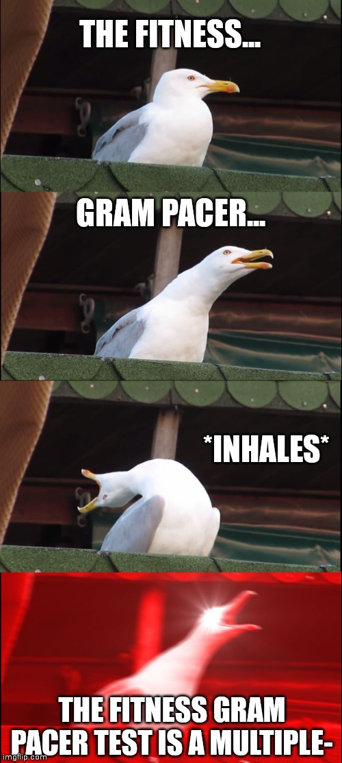 OK! I GET IT! | THE FITNESS... GRAM PACER... *INHALES*; THE FITNESS GRAM PACER TEST IS A MULTIPLE- | image tagged in memes,inhaling seagull,funny,fitness | made w/ Imgflip meme maker
