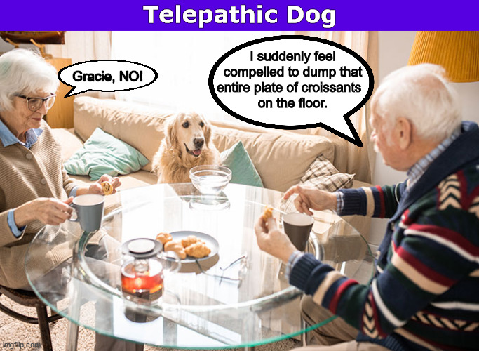 Telepathic Dog | image tagged in telepathic,dog,dogs,funny,memes,mind control | made w/ Imgflip meme maker
