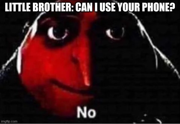 Gru No | LITTLE BROTHER: CAN I USE YOUR PHONE? | image tagged in gru no | made w/ Imgflip meme maker