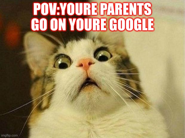Scared Cat | POV:YOURE PARENTS GO ON YOURE GOOGLE | image tagged in memes,scared cat | made w/ Imgflip meme maker