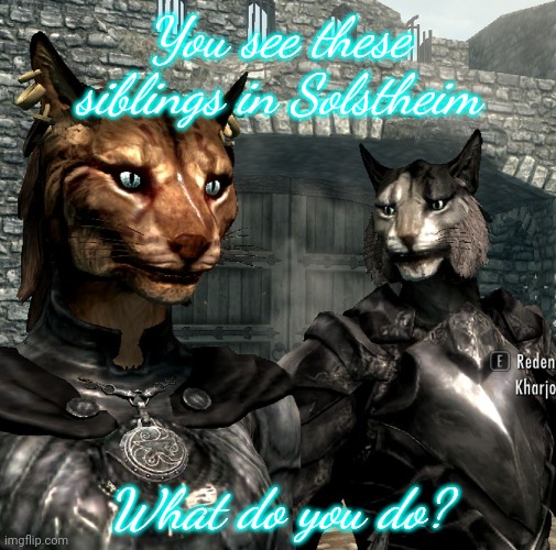 Memechat me | You see these siblings in Solstheim; What do you do? | image tagged in khajiit dragonborn | made w/ Imgflip meme maker